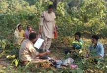 कोरबा ब्रेकिंग: 7 वर्षीय भव्या हत्याकांड में बड़ी कामयाबी, बांगो के जंगल से आरोपी अमित चौहान गिरफ्तार